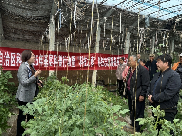 定制化解决方案